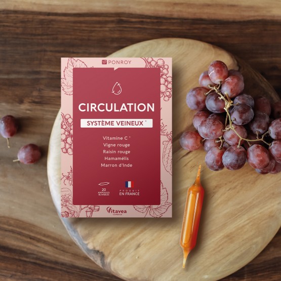 Ampoules Circulation